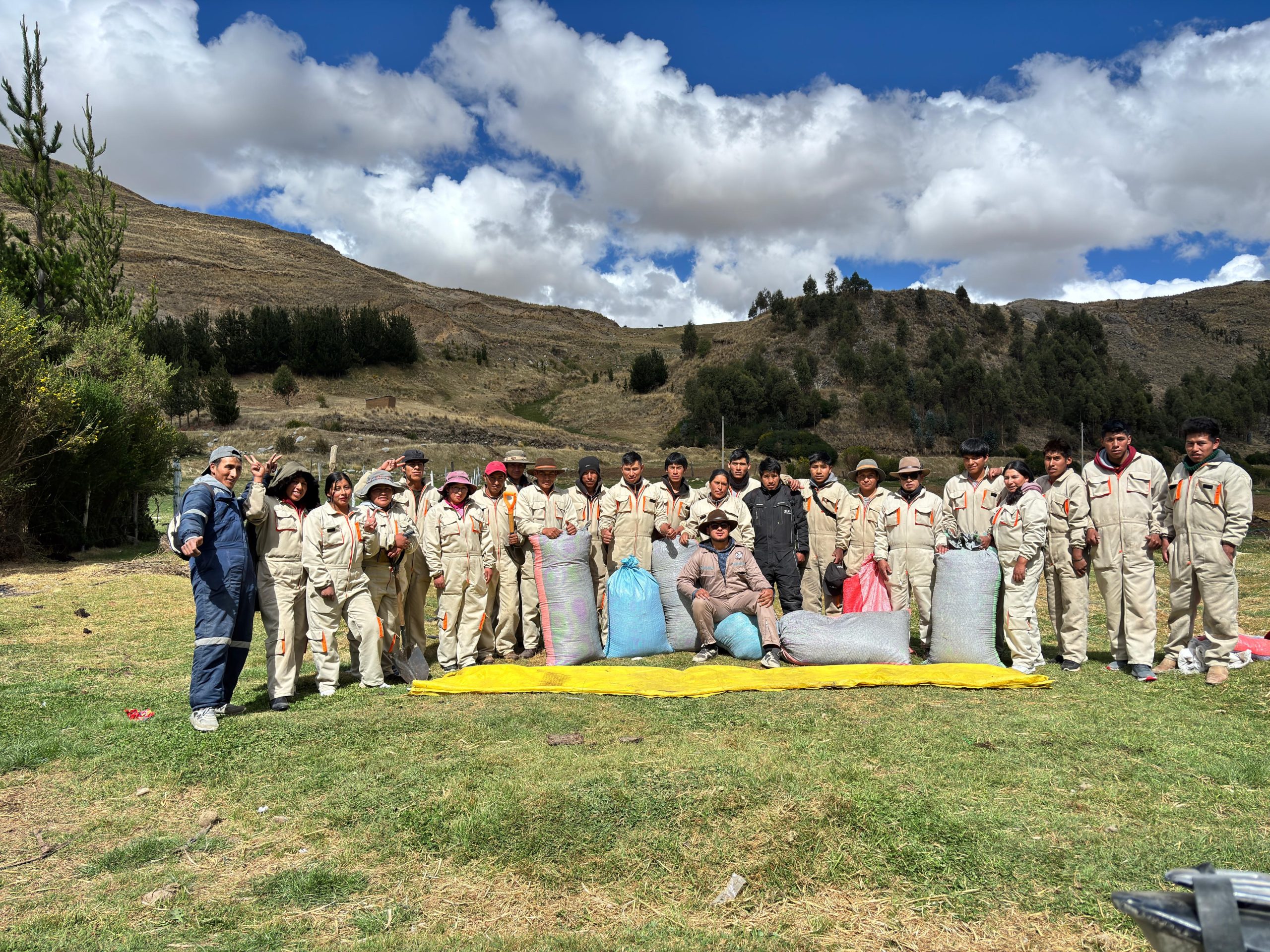 Galería Velille